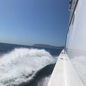 Meet your Posher, Selma